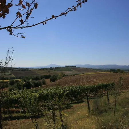 Fattoria Le Chianacce * Κορτόνα